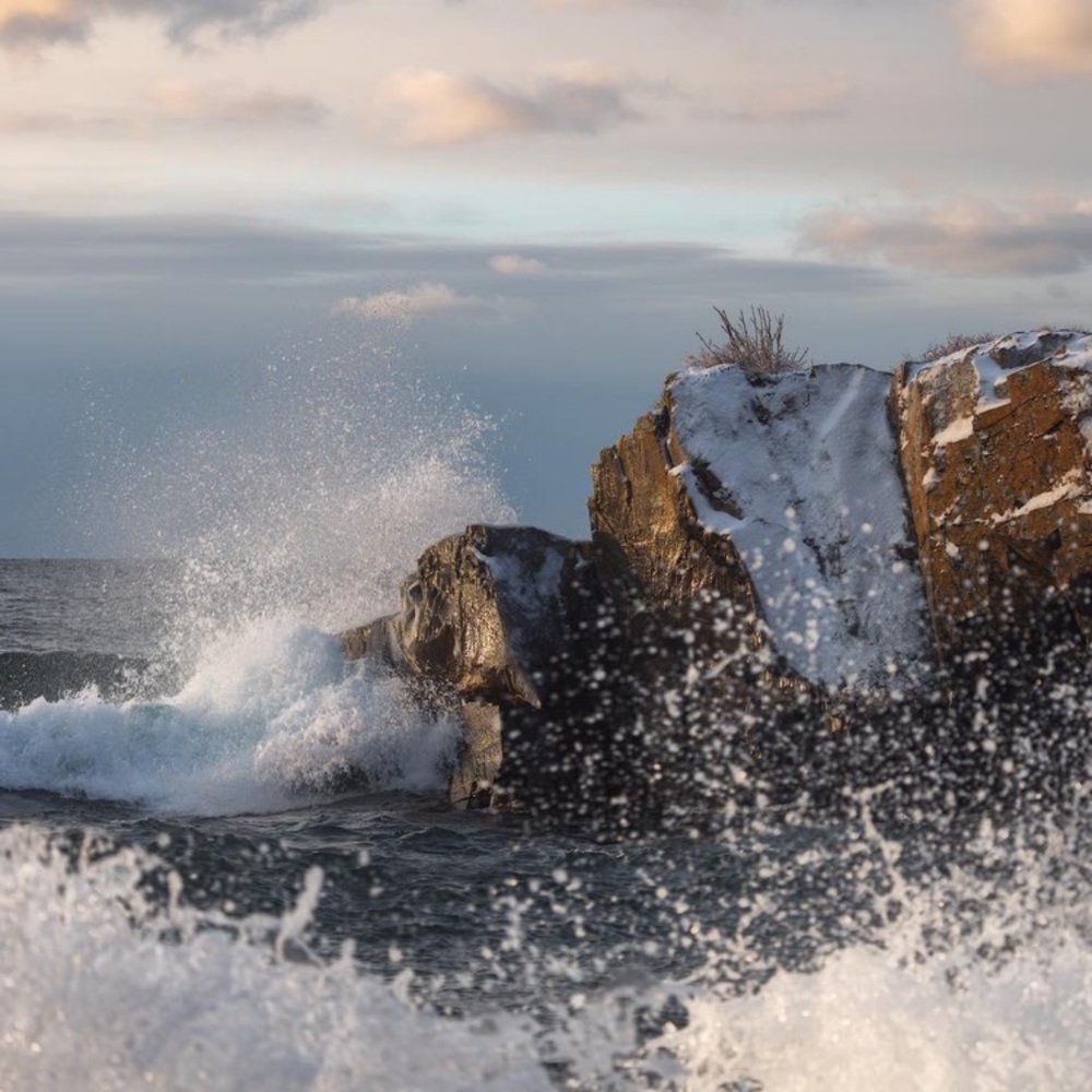 FOLLOW @cuteclothing516 !!!!!!